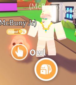 NFR Owl Roblox Adopt Me