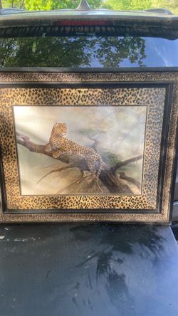Picture of a leopard sitting on a tree