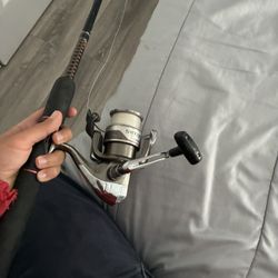 Shakespeare Ugly Stik GX2 Rod with Shimano Syncopate 4000FG Reel Comb