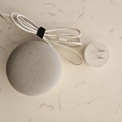 Google Nest Mini