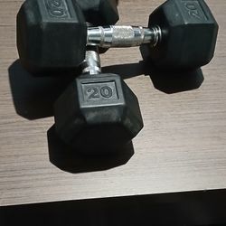 2 20 Pound Weights