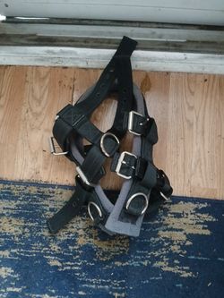 Heavy Duty Dog Collar
