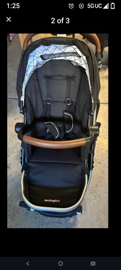 Mocking bird double stroller