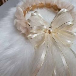 Pretty flower crown champagne Color!