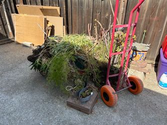All for free, but the dolly