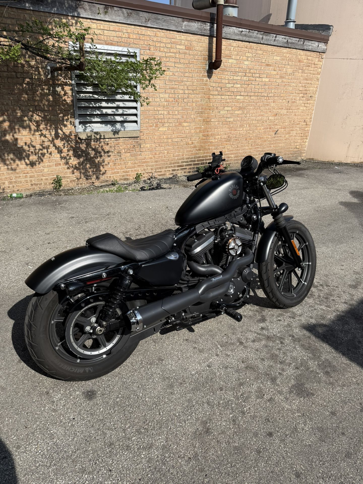 2019 Harley Davidson Iron 883XL