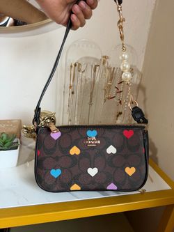 Bolsa coach