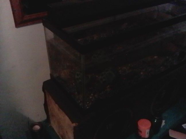 25 Gallon Fish Tank With Lamp Holds Water Very Well