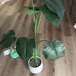 Fake Green Plant 