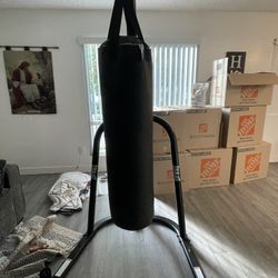 100 Lb Everlast Bag (With Stand)