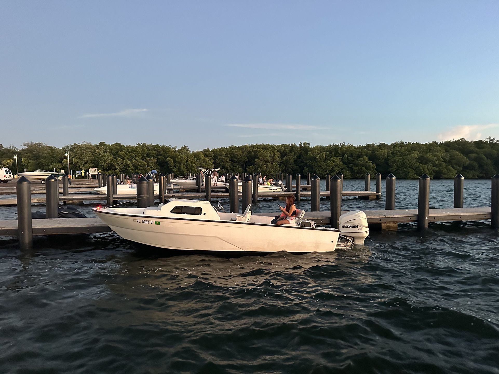 23 ft boat with 225 envirude outboard 