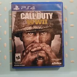 Ps4  Call To Duty  1 Disk