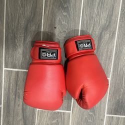 Pro Brand Boxing Gloves