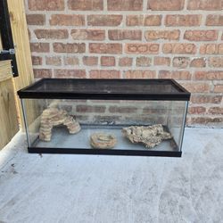Reptile Tank Everything Included