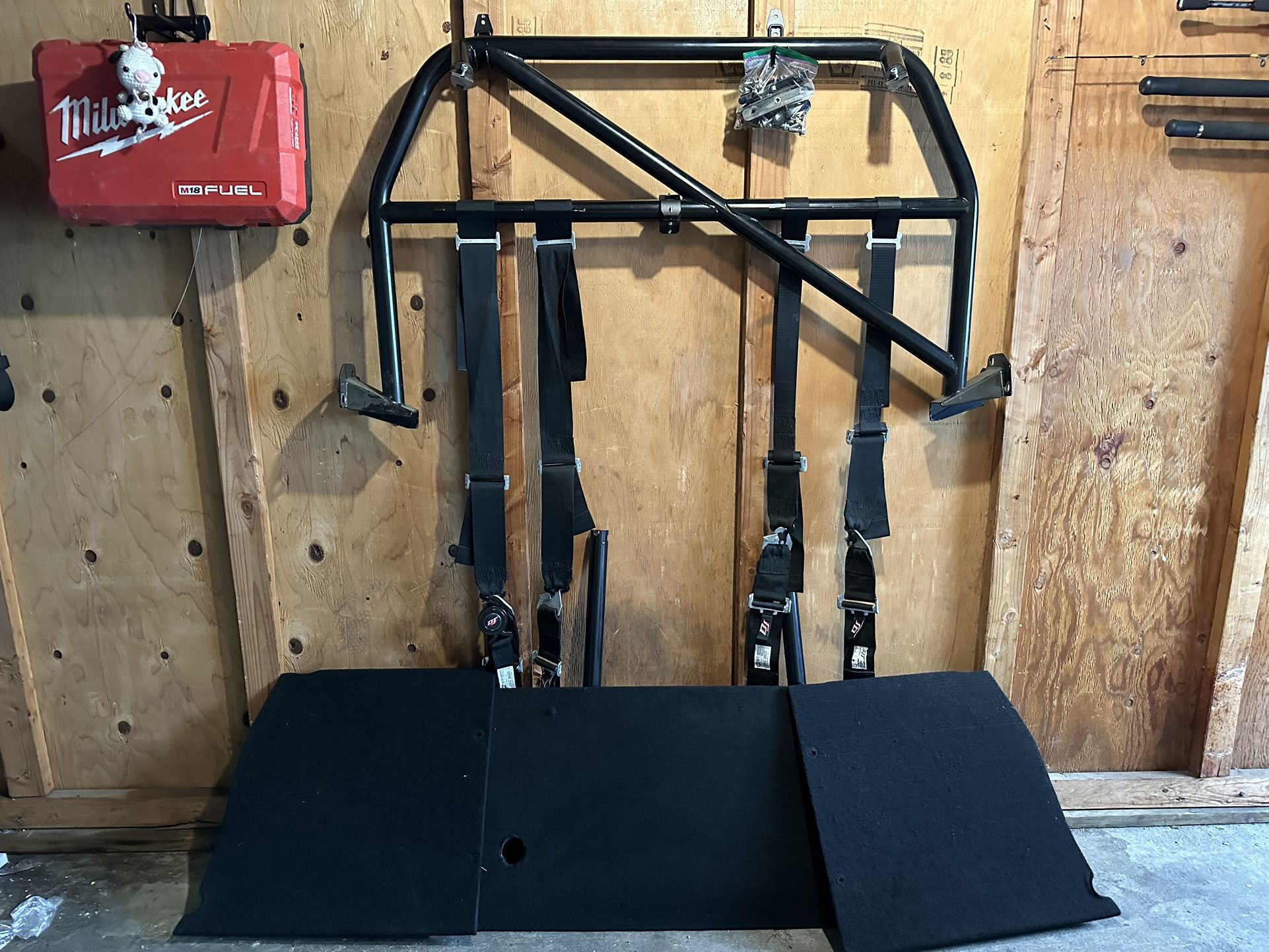 Watson Racing 4 Point Roll Cage
