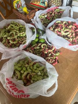 Guamuchiles