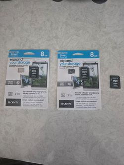 8GB memory card