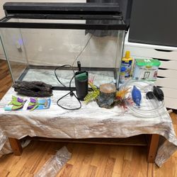 Fish Tank