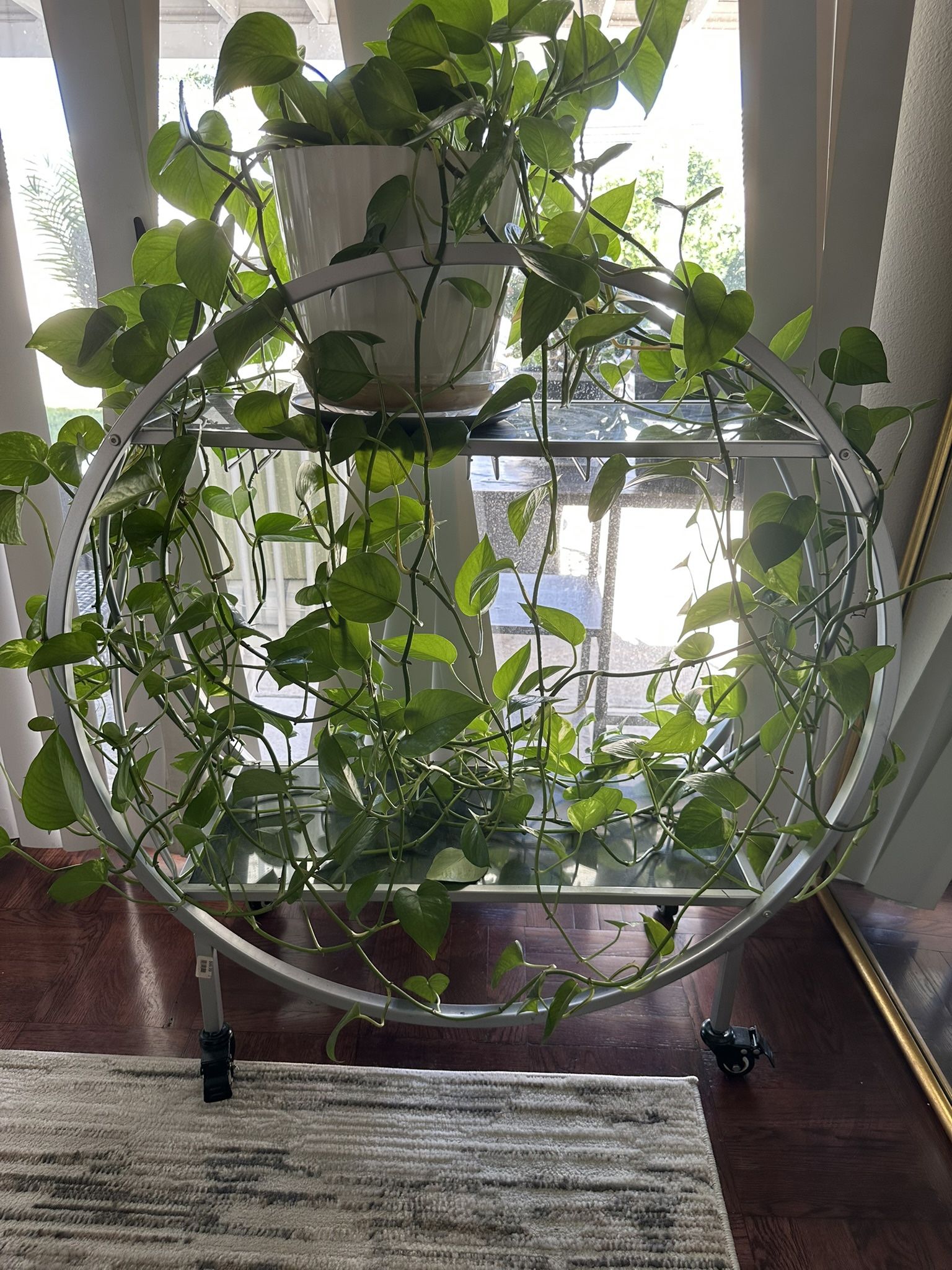 Circle Bar Serving Cart