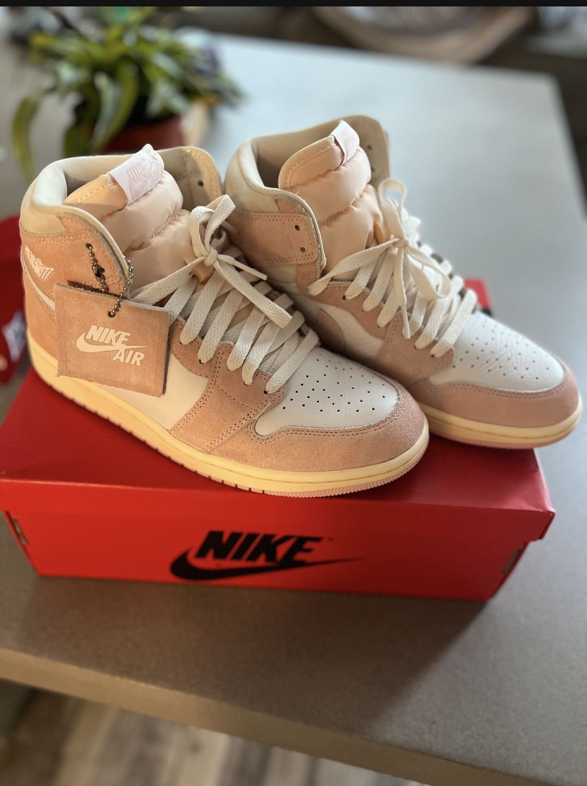 Jordan Wash Pink 1s