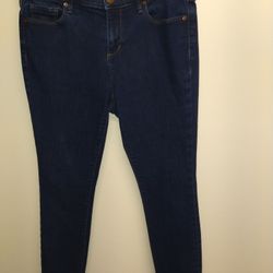 Loft Petite Size 8 Skinny Jeans 