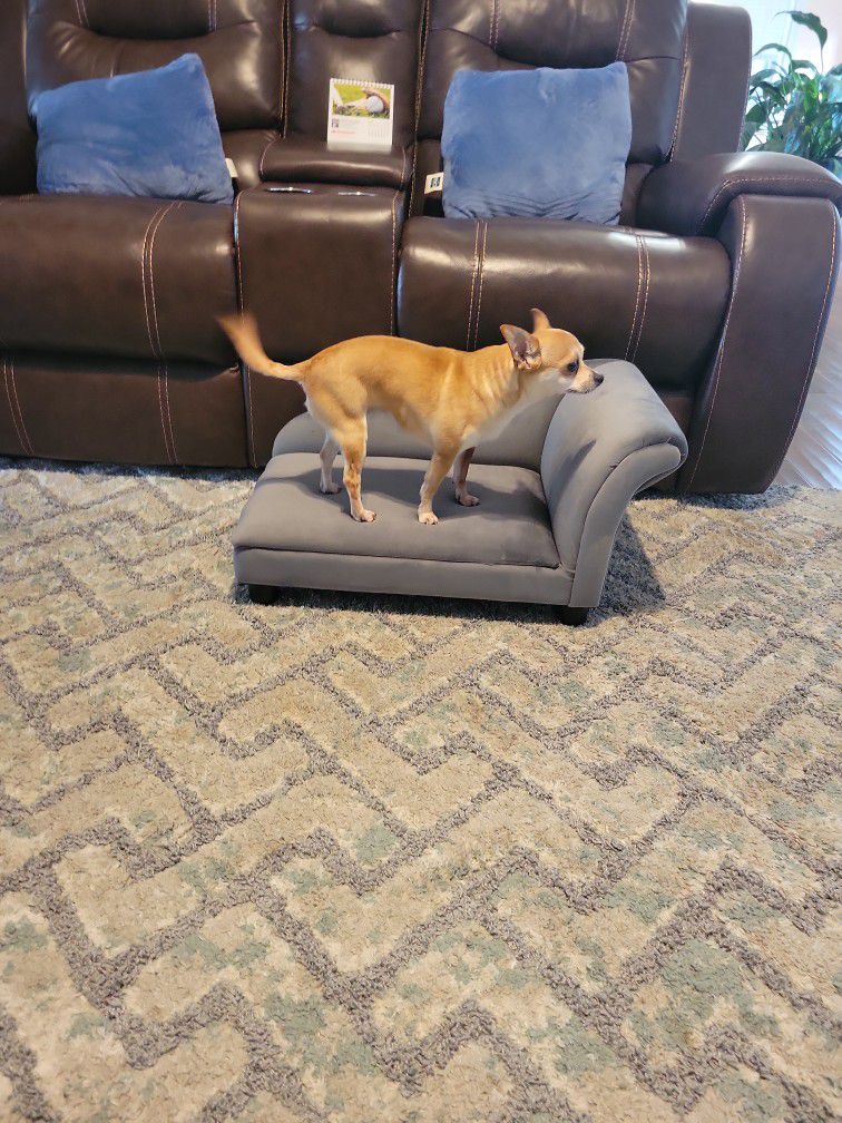 Dog Sofa