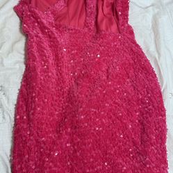 Pink Sparkling Women’s Dress