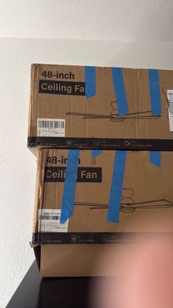 Ceiling fan