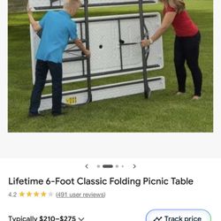 Folding Picnic Table 