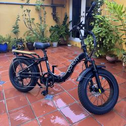Electric Bike