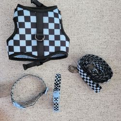 Cat harness, collars, & leash