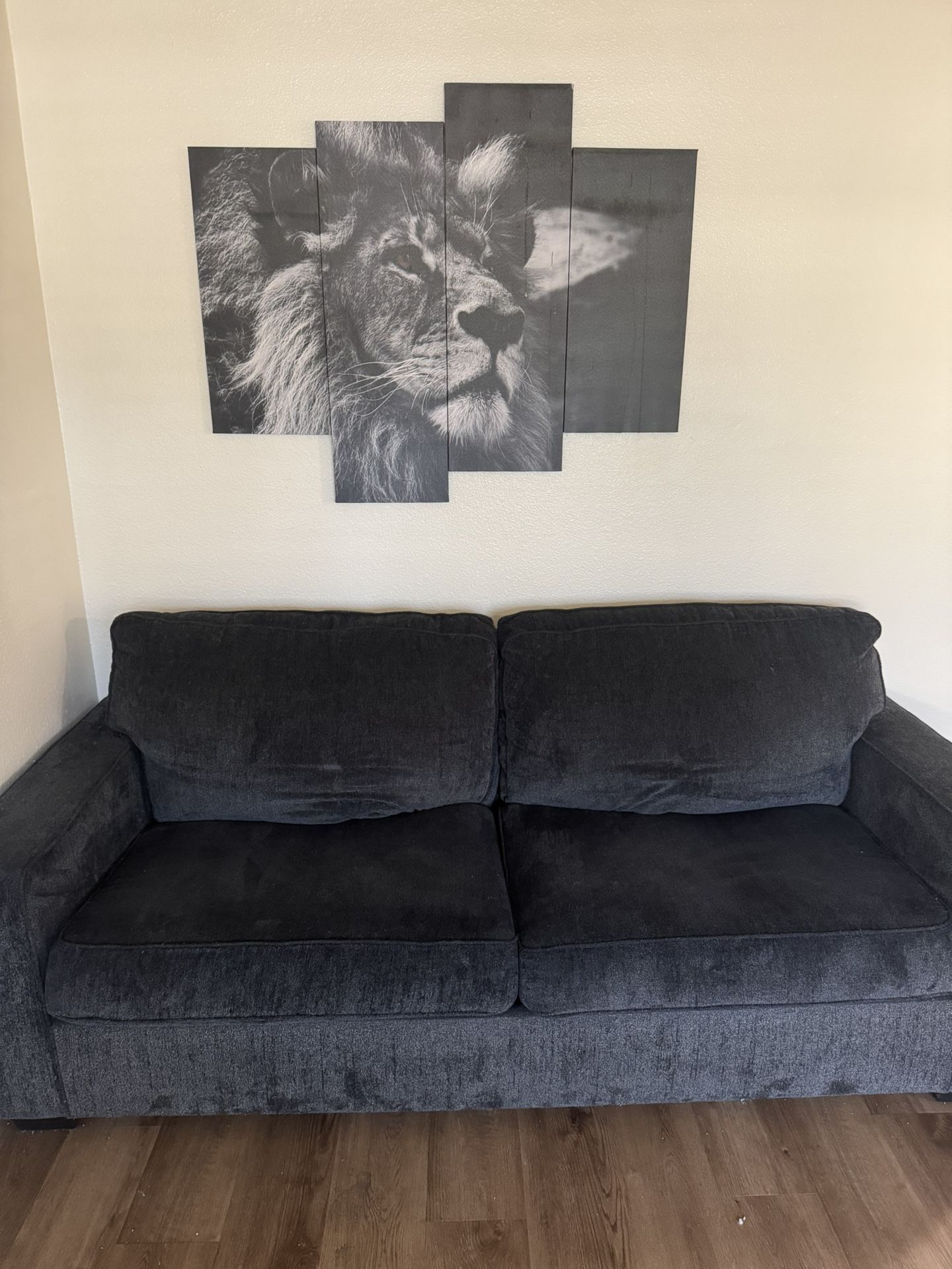 Sofa Bed Like New