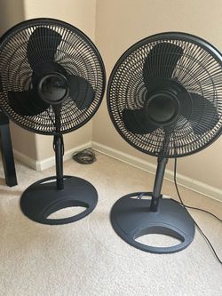 fans