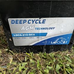 8 AGM Golf Cart Batteries