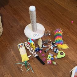 Cat Toys