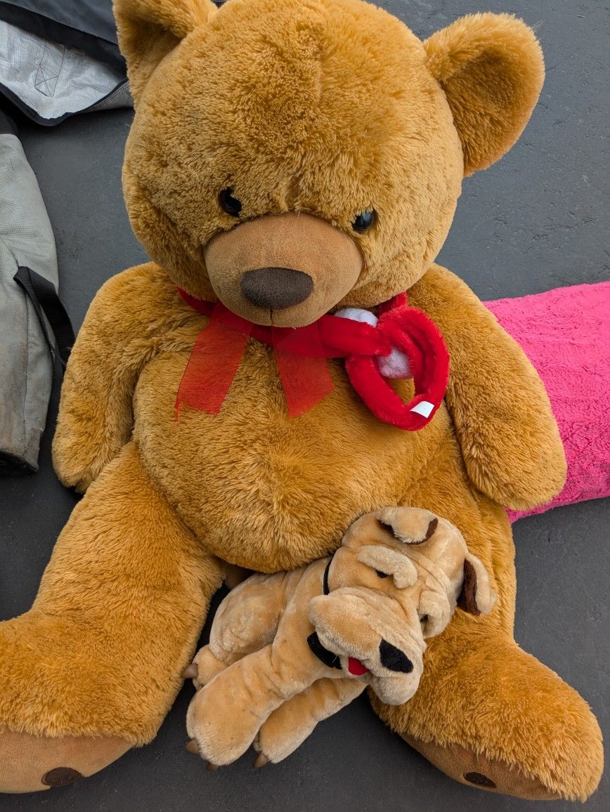 Teddy Bare