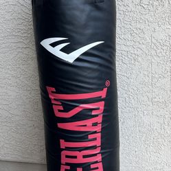 100 Pound Everlast Punching Bag 