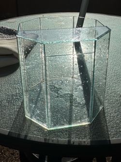 Glass planter/ container