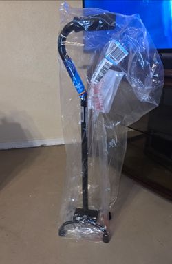 Cane