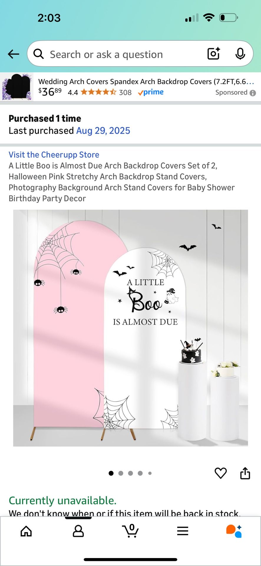 Baby Boo Back Drop