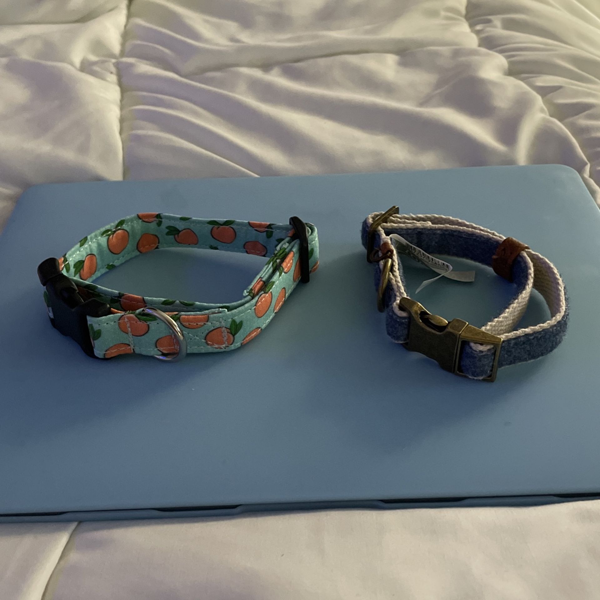 Brand New Dog Collars