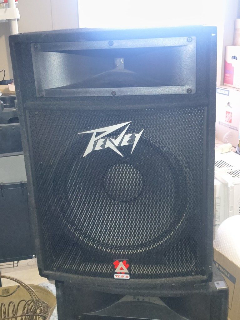 Set Of 15" Peavey Speakers