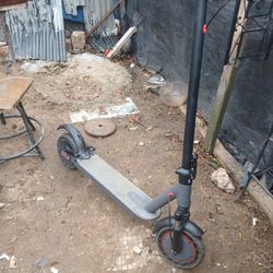 Scooter Muy Bueno 35 LOL Que Corre