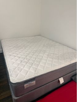 Mattress + Box Spring Set