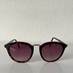 Ted Baker Ladies Sunglasses