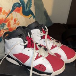 Jordan 6s