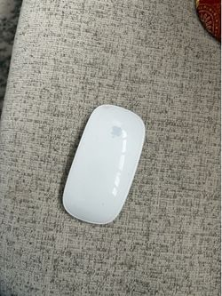 Apple Mouse