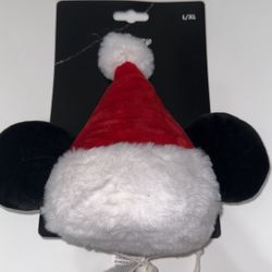 Disney Dog Hat