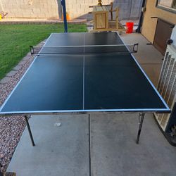 Ping Pong Table