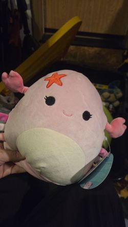 Brand New Squishmallow 